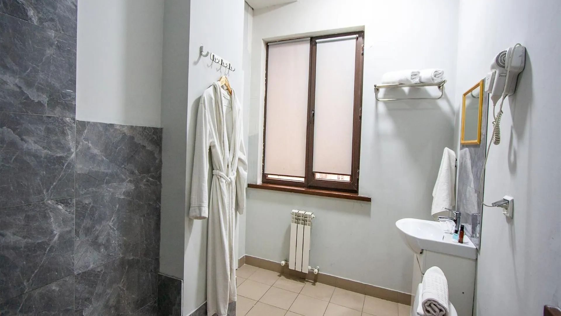 Hotel Montana Almaty